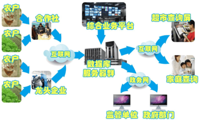 建设农产品溯源系统的目的 与网络技术服务相结合的行之有效之道